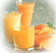 Fresh Squeezed Florida Orange Juice